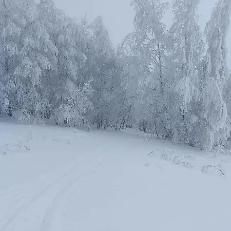 Kuca Za Odmor Sa Bazenom Feriehus